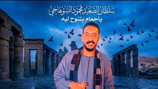 يا حمام بتنوح ليه محمود السوهاجي
