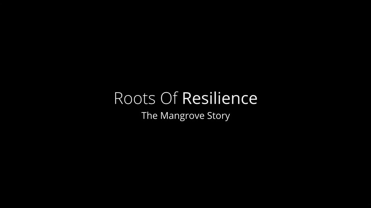 Roots of Resilience - The Mangrove Story