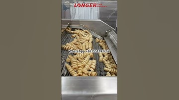 Continuous Fryer Machine, Industiral Fryer Machine for Sale