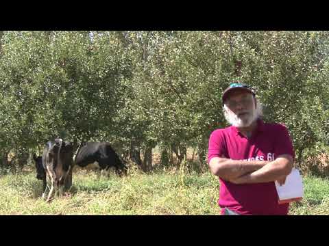 بکش و بکش مهندس حسین دژاکام ناسازگاری مواد مخدر کنگره60 اعتیاد درمان ریکاوری 