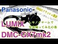 LUMIX DMC-GX7mk2 L.モノクロームで写真撮ってみたの巻 GODOXのフラッシュ開封！