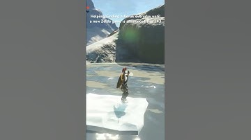 Helping/Finding a Korok everyday until a new Zelda game is announced Day 243