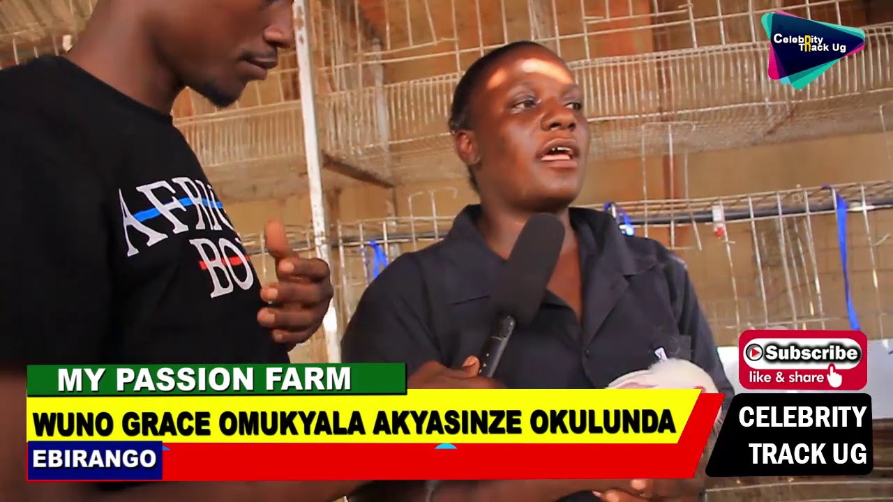 OMULUNZI ASINGA ENKOKO  ENYINGI ALINA ENKOKO ENKUMI TANO  ATE ALUNDIRA MUKIFO KIFUNDA .  KINO  KIKA