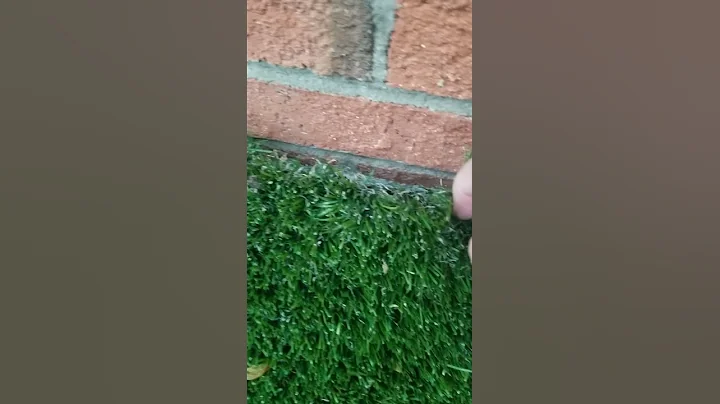 patio video