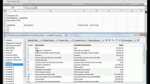 CaseWare Connector: Direct Cell Referencing (with UDFs)