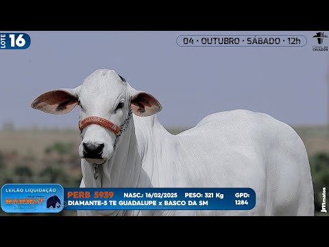 LOTE 16   PERB 5939