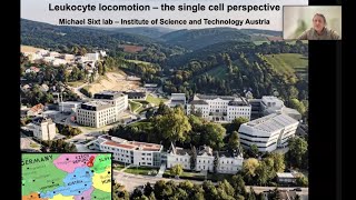 Download Mp3 "Leukocyte locomotion - the single cell perspective" by Dr. Michael Sixt Gudang lagu Download Mp3 "Leukocyte locomotion - the single cell perspective" by Dr. Michael Sixt