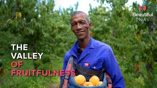Beautiful News | En route to the Klein Karoo, indulge in a valley bursting with fruit