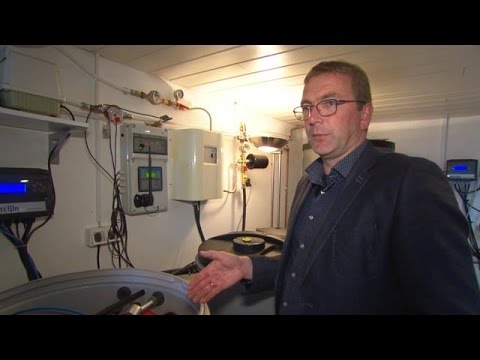 Video: Is Het Mogelijk Om Regenwater Te Drinken En Hoe Dreigt Het?