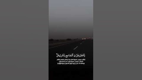 لحظة يكون وسط ضجيج الحياة #قران_كريم #المصحف #راحة_نفسية #تلاوة_خاشعة