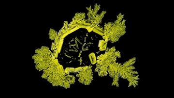 Envisioning Chemistry Crystallization II time lapse experimental