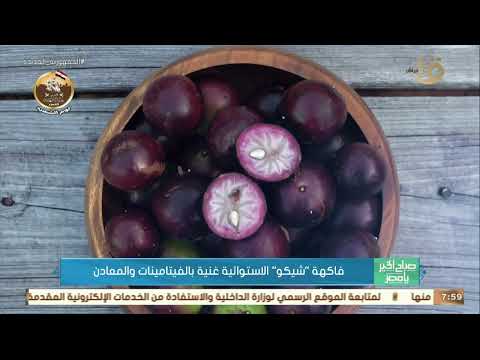 صباح الخير يا مصر فاكهة شيكو الاستوائية غنية بالفيتامينات والمعادن