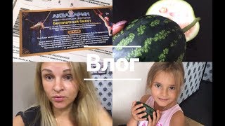 НАШИ БУДНИ/ ЖАЛУЮСЬ/ БЕСПЛАТНЫЕ БИЛЕТЫ В ЦИРК/ ОСЕННИЕ ОБНОВКИ) НАШИ БУДНИ/ ЖАЛУЮСЬ/ БЕСПЛАТНЫЕ БИЛЕТЫ В ЦИРК/ ОСЕННИЕ ОБНОВКИ)
