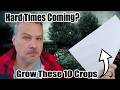 10 crops to feed your family in hard times  self sufficient sunday 1