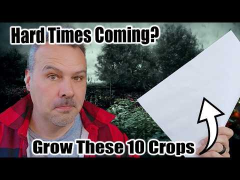 10 Crops to Feed Your Family in Hard Times // Self Sufficient Sunday #1