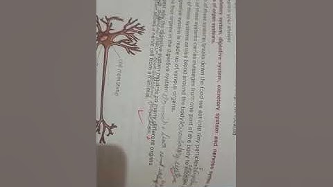 Unit 1: Cellular Organization| Exercise| Part 2 | science fact file | class 6