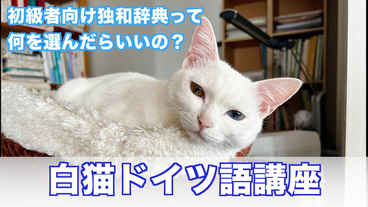 独和辞典 10冊　外箱無し 初級者に優しい独和辞典(新装廉価版) | 早川 東三, 伊藤 眞