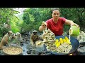 survival in the rainforest-found pig intestine with corn for cook &amp; give to pets HD