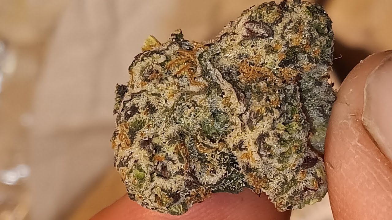 trulieve roll one (traffic jam) 26%thc 2.4 terps 4-1-24