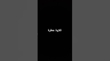 تلاوة عطرة #القرآن_الكريم #راحة_نفسية #صلوا_على_النبي