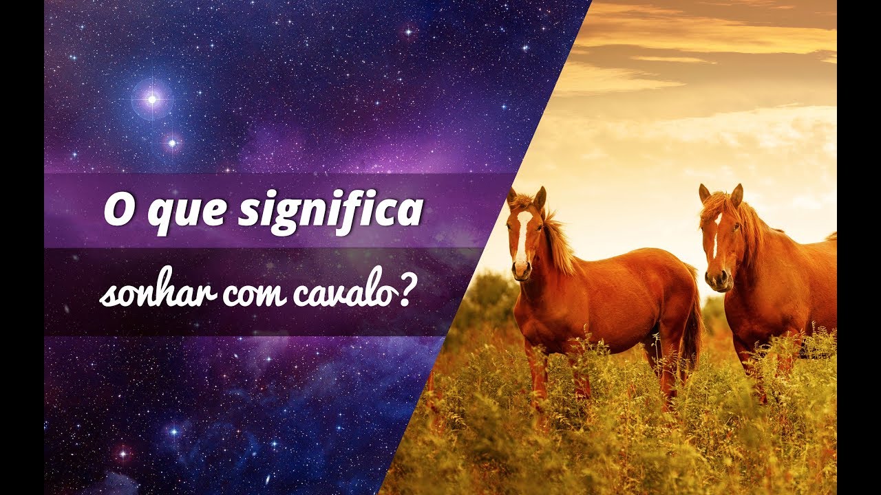 O que significa sonhar com cavalo? - Sonhar com - Significado dos Sonhos