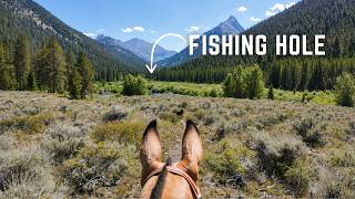 Riding To A STUNNING High Elevation Stream On Mules
