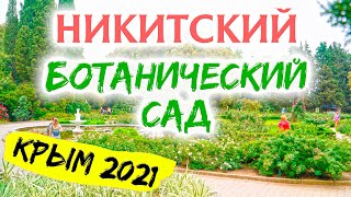 Никитский ботанический сад Крым. Обзор Никитского ботанического сада.