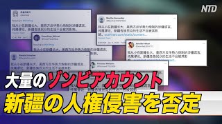 〈字幕版〉ゾンビアカウントを利用して人権侵害を否定