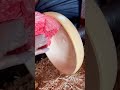 Art of Wooden Plate Making 🪵🍽️✨