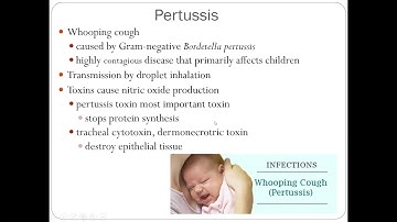AEM 341 Exam II lecture 1 zoom slides module 2