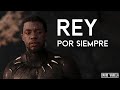 Pantera Negra - Rey Por Siempre | HD