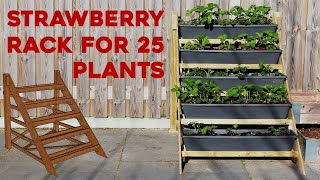 Building a Strawberry Rack for Vertical Gardening (Including My Strawberry Strategy!)