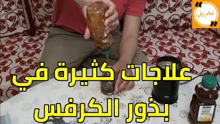 بدور الكرفس علاج للمعدة والمفاصل والكبد والكلى والضغط العالي