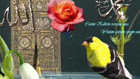 Ya Ilahi No Music w  Lyrics and English Translation   YouTube