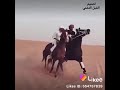 اقلوبنا ياظبية محوت اقلوبنا ياظبية محوت