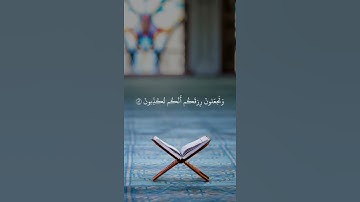 ﴿فَلا أُقسِمُ بِمَواقِعِ النُّجومِ﴾ القارئ: ياسر الدوسري حفظه الله