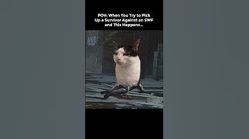 POV: When You Try to Pick Up a Survivor Against an SWF  and This Happens...