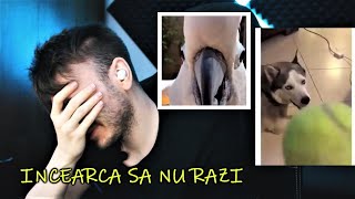 INCEARCA SA NU RAZI CHALLENGE