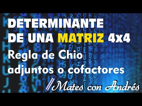 Vídeo: Com Es Calcula Un Determinant Descomposant-lo Entre Els Elements D’una Cadena