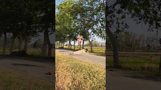 skating#practice#on road#Girlsreaction#shortvideo#youtubeshort#virals#videos