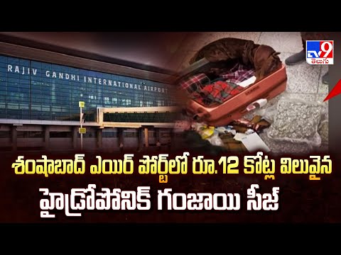 శంషాబాద్ ఎయిర్ పోర్ట్ లో రూ.12 కోట్ల విలువైన హైడ్రోపోనిక్ గంజాయి సీజ్ - TV9 - TV9