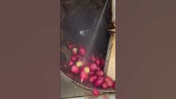 How Canadian Farmers Clean Potatoes