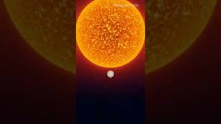 Star Size Comparison