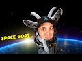 I'm a goat... in space...