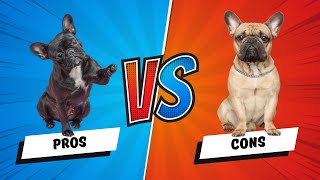 The Pros and Cons of Owning a French Bulldog