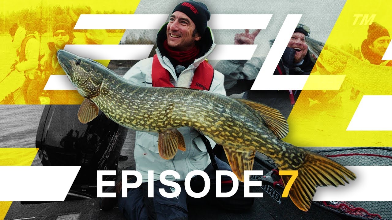 European Fishing League - Episode 7