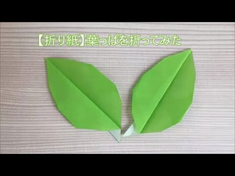 折り紙 葉っぱを折ってみた Youtube