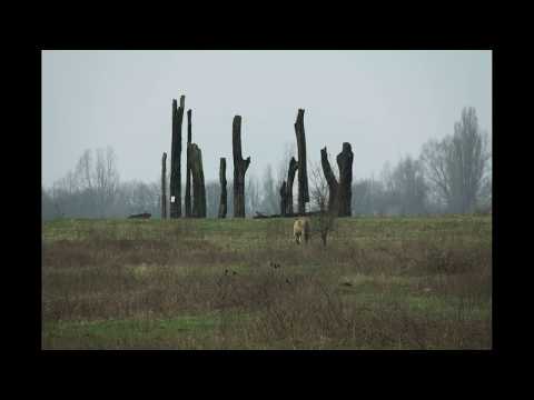 Millingerwaard en de De Geldersche Poort