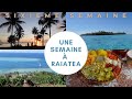 Une semaine sur lile de raiatea  vlog  6me semaine