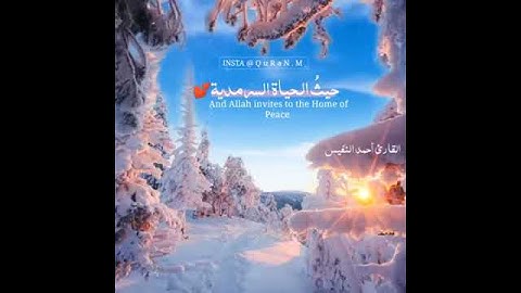 تلاوة هادئه مقطع دين قصيره || للقارئ احمد النفيس